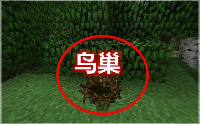 鸟巢 Birds Nests Mod