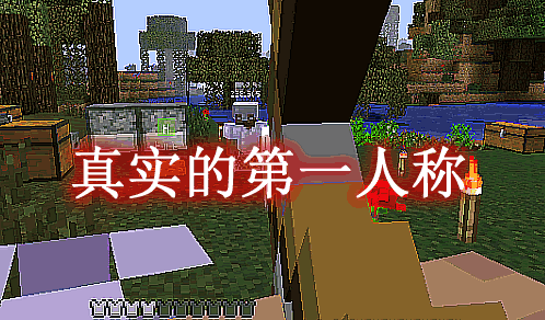 真实的第一人称 Real First-Person Render Mod